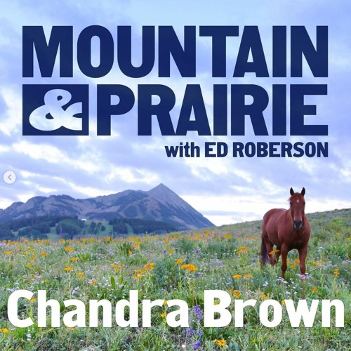 Chandra - MountainPrairie - 2023