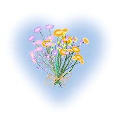 🎀Sabrina carpenter (mostly)🎀