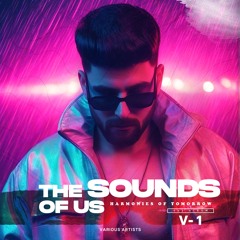 THE SOUNDS OF US (V-1) - DJ KAWAL & VARIOUS