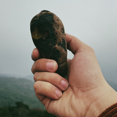 Kinh Đại Hạnh Phúc (Mahamangala Sutta)