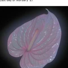 Last day of february '21