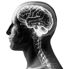 in my mind (feat. itsfromage, Saint Michael)