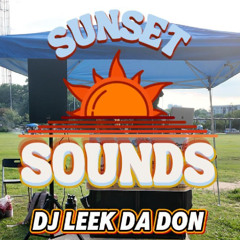 Sunset Sounds Vol. 2 - DJ Leek Da Don (Hip-hop, R&B, Pop, Mashups)