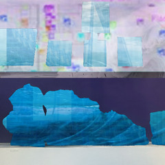 Fuck The Ruler's Back (emperor penguin hoax) prod. Kizo Drain