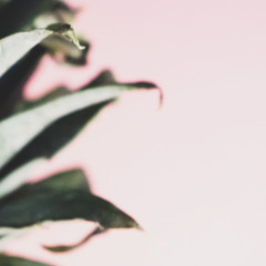 결국 봄은 온다