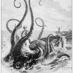 -The Octopus Prime- @La Isla Zipolite Mexico 13/02/22