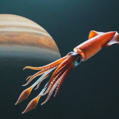 Cephaloastra