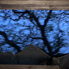 now and later (3nalog x vanni)