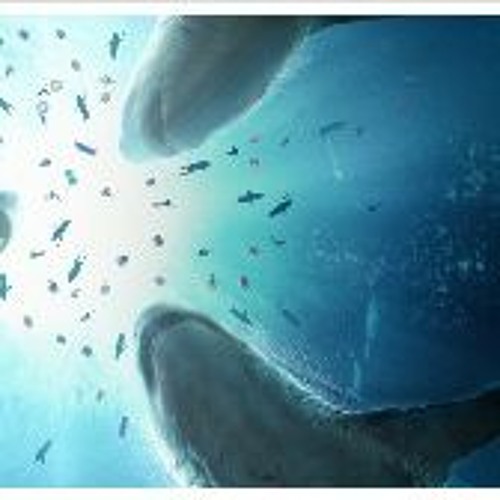 Watch the meg online full movie hot sale