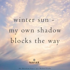 Winter Sun (Naviarhaiku 524)