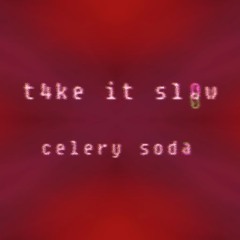 t4ke it sl0w