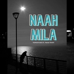 NAAH MILA - TAIMOUR BAIG ft. MAHAD SHEIKH Prod. Raffey (Official Audio)