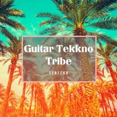 Sebtekk-  Guitar Tekkno Tribe