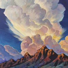 An Infinite Number of Life Forms (studio)