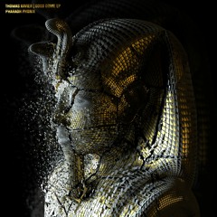 Thomas Xavier - Good Dome (Original Mix)