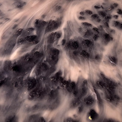 a few dissapointments