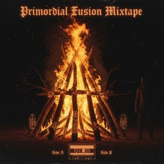 Vaas - Primordial Fusion 30 min live mix.mp3