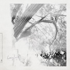 Leaving Laurel - Need Little, Want Less