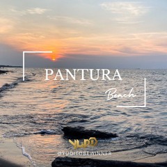 HOUSE PANTURA BEACH