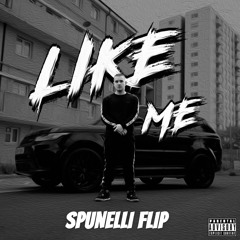 mgee - like me (spunelli flip)