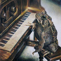 Frog Plays Piano