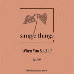 PREMIERE: NAAiV - When You Said [STRD048]