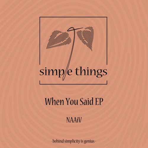 PREMIERE: NAAiV - When You Said [STRD048]