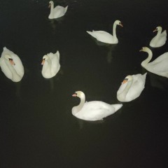 be nice 2 me x funeral