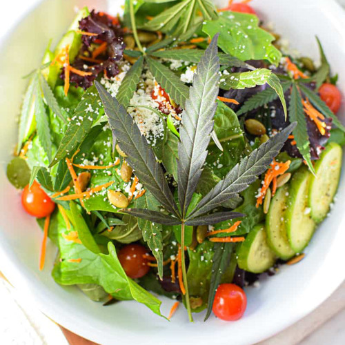 ensalada