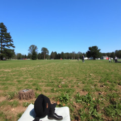 all my beats r free 2 use