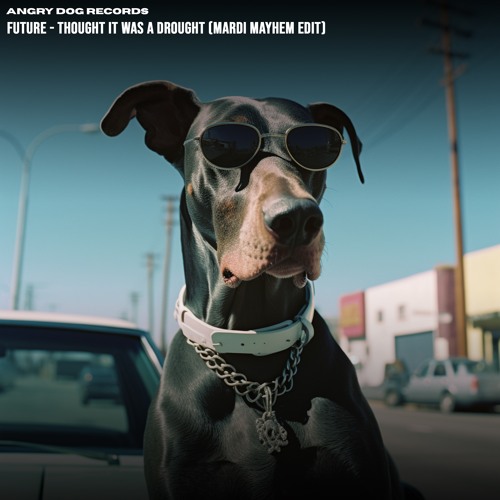 Future - Thought It Was A Drought (Mardi Mayhem Edit) Free Download