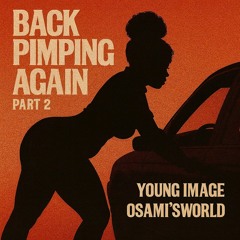 Back Pimpin Again Part 2