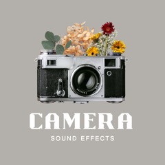 Camera Vol 1