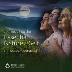Journeys To The Essential Self ~ February Full Moon 2020