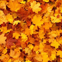 #HONEYRIK - AUTUMN SUN - Instrumental