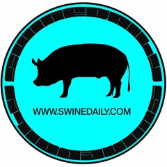 Guestmix 02/23 by Swine Daily