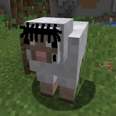 Pissy Pamper But The Beat is Made Only Out of Minecraft Sounds