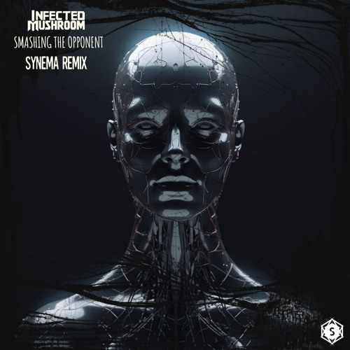 Infected Mushroom - Smashing The Opponent (Synema Remix) (Free download)