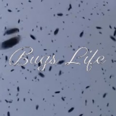 Bugs Life (prod. Supa)