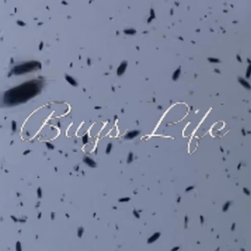 Bugs Life (prod. Supa)