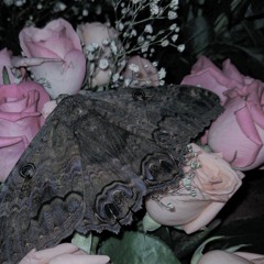 I LOVE YOU by HASAMI group