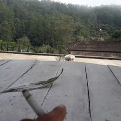 MC Lipi - Proteção De Deus (VideoClipe) DJ Will SP.mp3