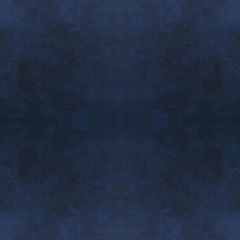 HOLY † WATER MIDNIGHT BLUE Demo