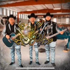 Coqueta - Angel Pulido Y Su Legado