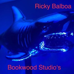 Vision/ Bookwood Studio's