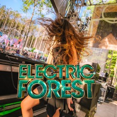 ZEN SELEKTA LIVE AT ELECTRIC FOREST 2024