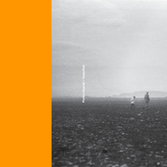 Nest (Portico Quartet Remix)