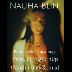 Baby Bash - Suga Suga (prod. ADTurnUp) (Nauha Blin Remix).mp3