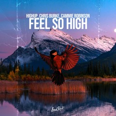 Highup, Chris Burke, Cammie Robinson – Feel So High
