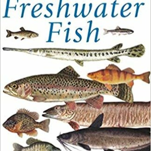 Ken Schultz's Field Guide to Freshwater FishREAD⚡️PDF❤️eBook Ken Schultz's Field Guide to Freshwater